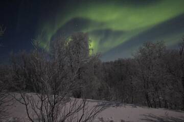 Фото номера Коттедж Шале Aurora mökki porealtaalla Lapissa Tenojoen rannassa г. Нуоргам 34